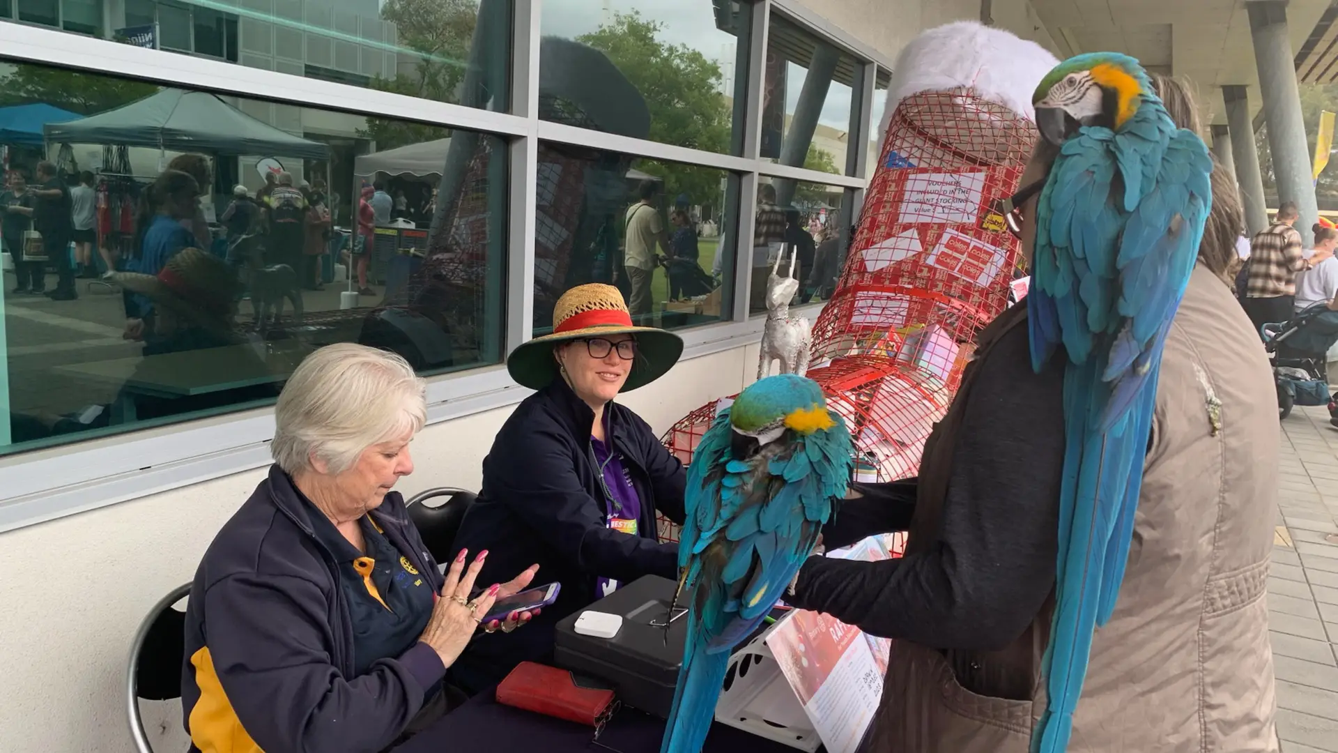 Raffle for Youth Education